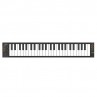 CARRY ON PIANO MIDI CONTROLLER 49