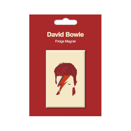 MAGNET MUSIC GIFT POP ART BOWIE MYMAG278