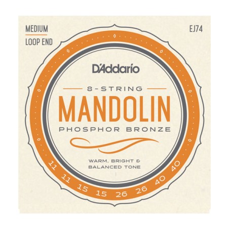 D'ADDARIO MANDOLINE PHOSPHOR BRONZE 11/40 EJ74