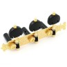 MECANIQUES GUITARE CLASSIQUE DER JUNG BOUTONS ET AXES NOIR GOLD