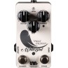 PEDALE LNA EFFET WHITEBIRD REVERB SHIMMER TANGUY KERLEROUX 