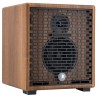 AMPLI PRODIPE NATURAL 5 V2 WALNUT WOOD