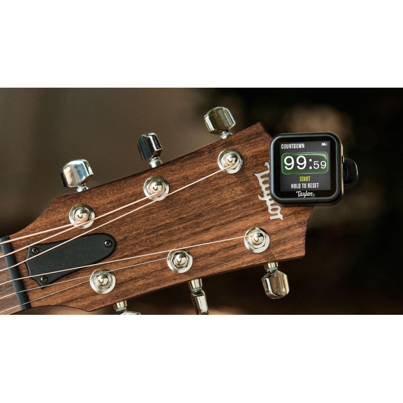 ACCORDEUR METRONOME TAYLOR BEACON A PINCE 