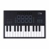 CARRY ON PIANO CONTROLLER MIDI 25