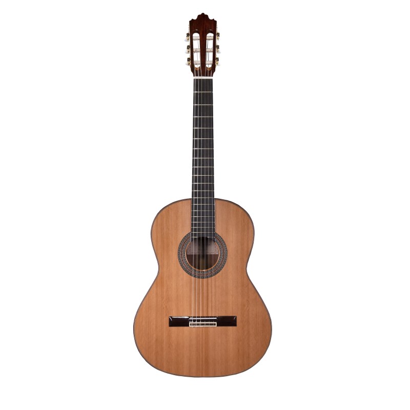 GUITARE CLASSIQUE PRODIPE SOLOIST 700