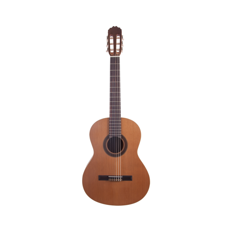 GUITARE PRODIPE STUDENT 1/2