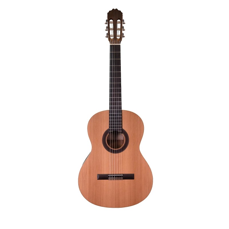 GUITARE PRODIPE STUDENT 4/4